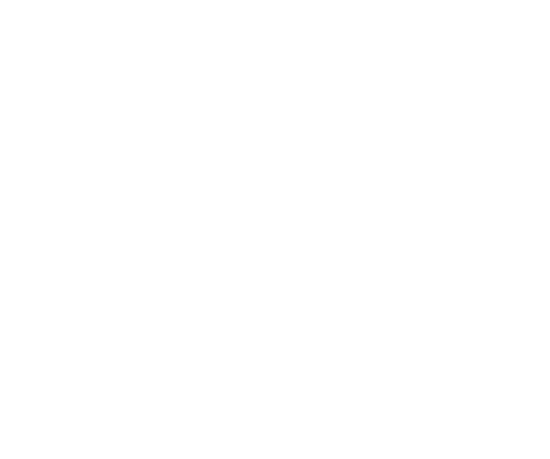 Logo ENIT