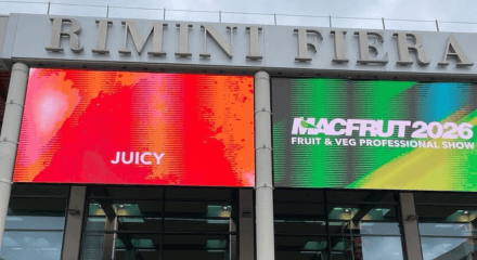   MACFRUT 2026: la CCI acompañó la participación argentina en un evento clave del sector frutihortícola