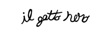 IL GATTO NERO